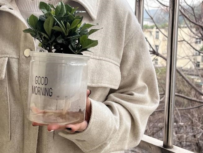 bevictor伟德官网