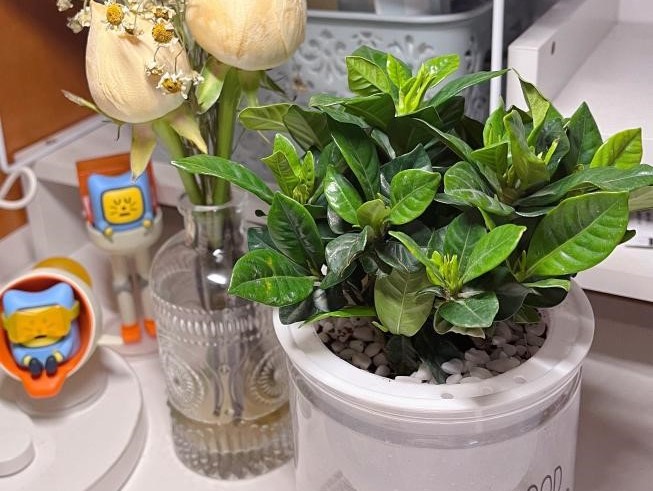 bevictor伟德官网